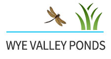 Wye Valley Ponds